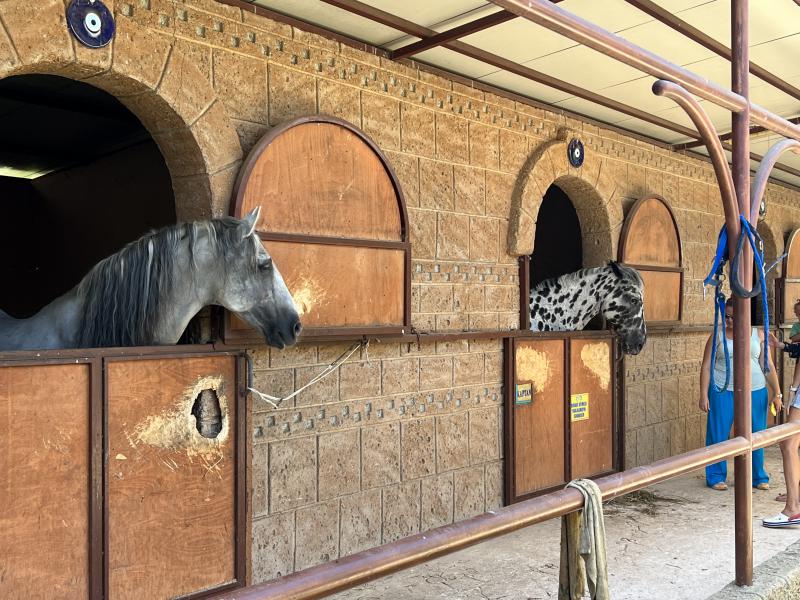 Аквапарк с лошадьми Bossea Nature Park
