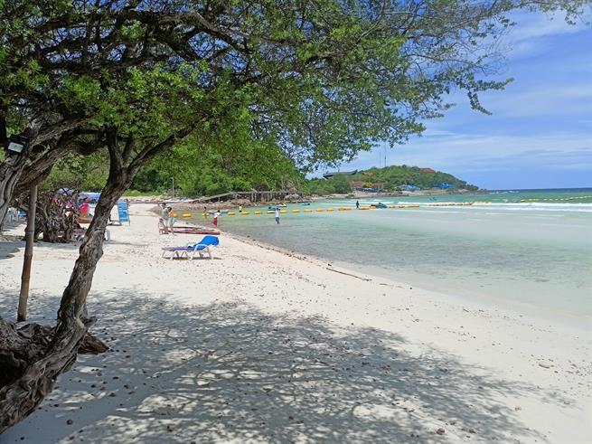 Вьетнам в феврале