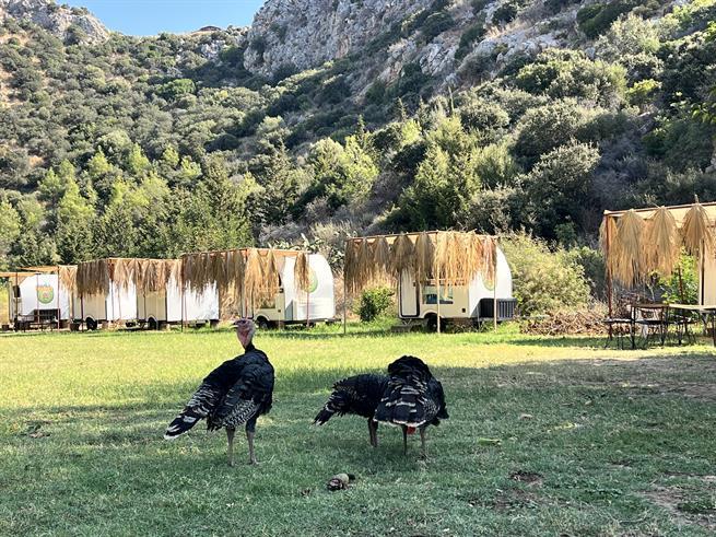 Patara Gate Boutique Hotel