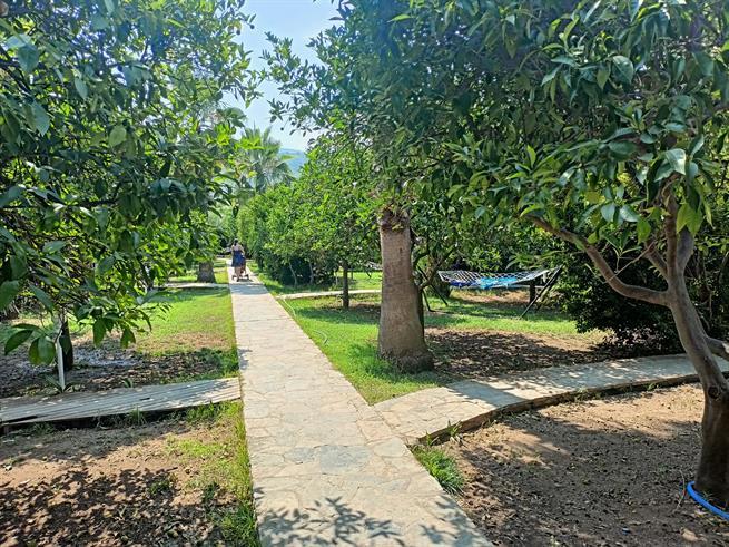 Emek Pension