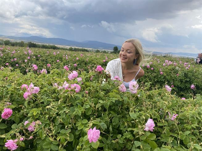 Розовые поля Турции