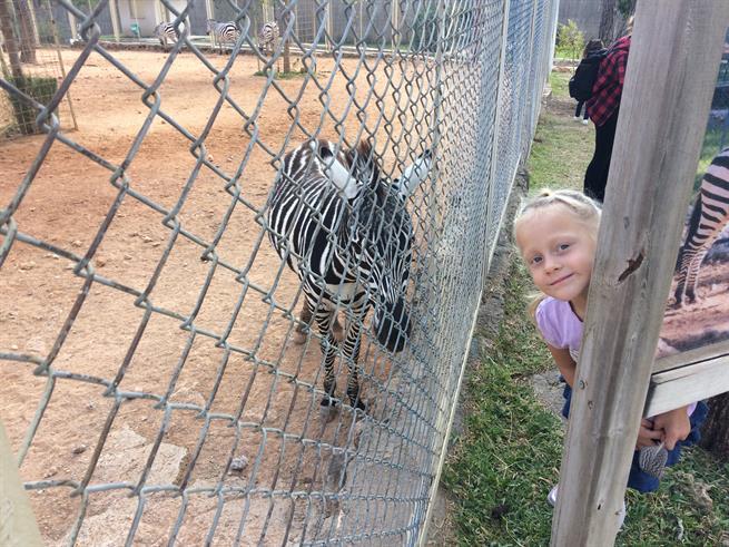 Зоопарк в Анталии (Antalya Zoo)
