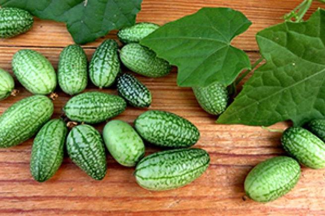 Пятиграммовые "арбузы" - свежий тренд турецкой кулинарии