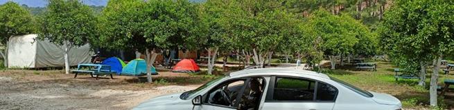 Рекордные продажи автомобилей в Турции: какие марки стали лидерами в 2024 году?