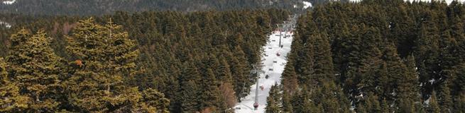 Зимние курорты Турции составят конкуренцию Европейским курортам