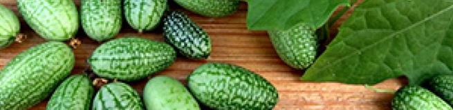 Пятиграммовые "арбузы" - свежий тренд турецкой кулинарии