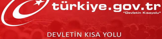 Что такое e-Devlet в Турции и как им пользоваться?