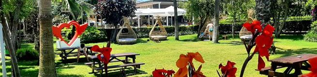 Туры в Турцию весной: когда покупать, чтобы было выгодно и без переплат