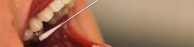 С 7 июля 2021 года Россия отменят ПЦР-тесты по возвращении из Турции